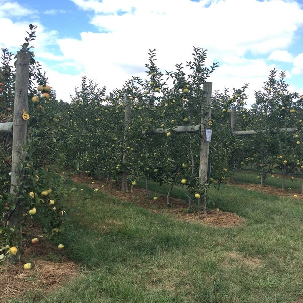 Waters Orchard Farm