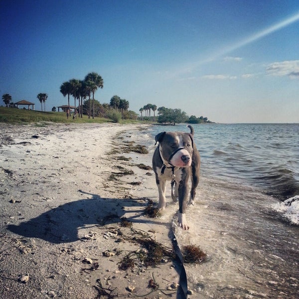 Picnic Island Beach