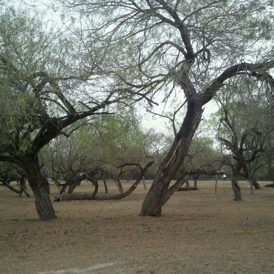 Bentsen Rio Grande Valley State Park 4 Tips From 166 Visitors