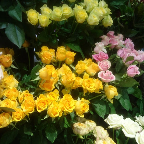 青山フラワーマーケット 秋葉原の生花店 青山フラワーマーケット 秋葉原の生花店