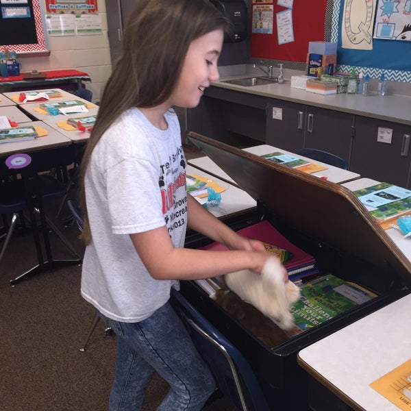 Fernbrook Elementary School Brooklyn Park Maple Grove 9661