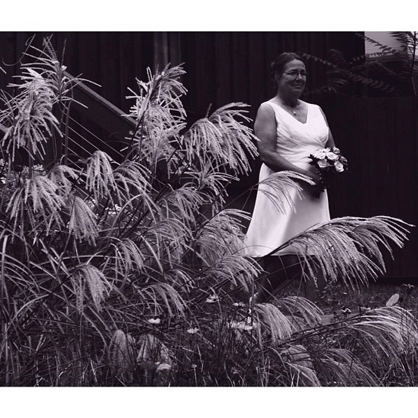 Photos at Daisy Flour Mill American Restaurant in Rochester