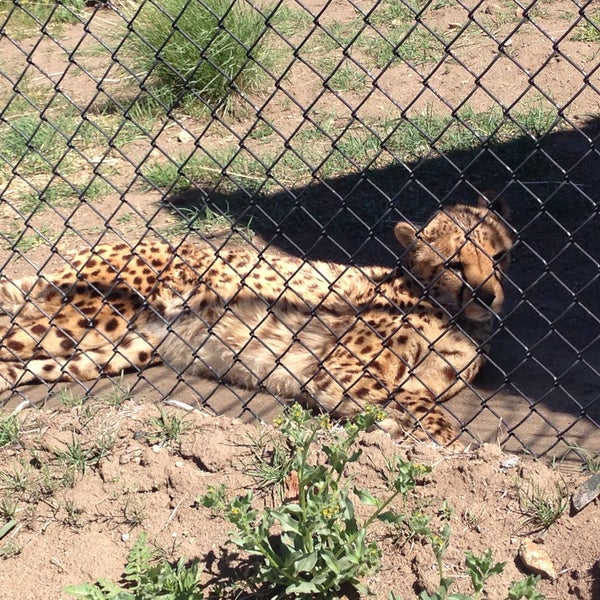 Animal Ark Zoo in Reno