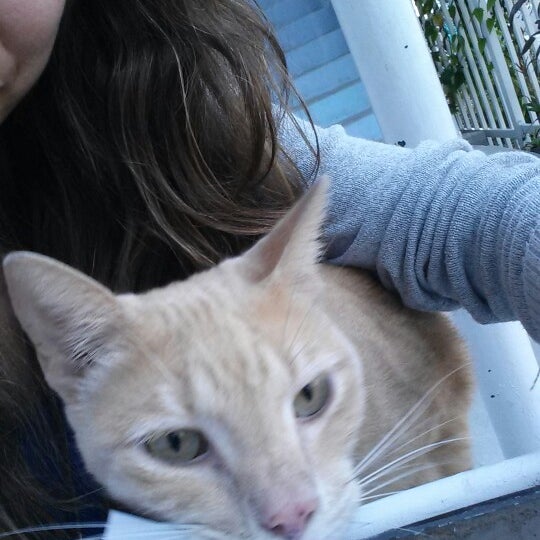 Fotos En Lotus House Women S Shelter Overtown Miami Fl