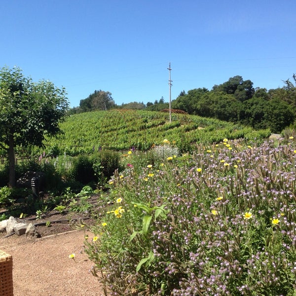 Foto tirada no(a) Lynmar Estate Winery por Michelle B. em 5/19/2014