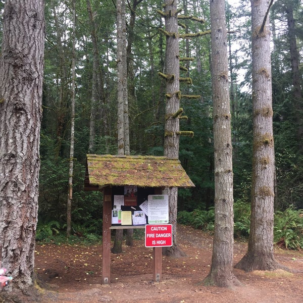 Photos At Banner Forest Forest