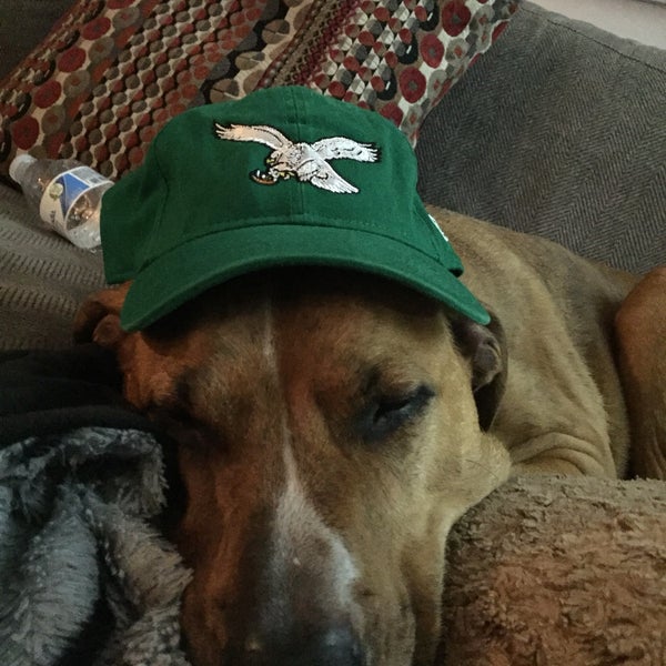 Photos at Cedar Hill Road Park Park