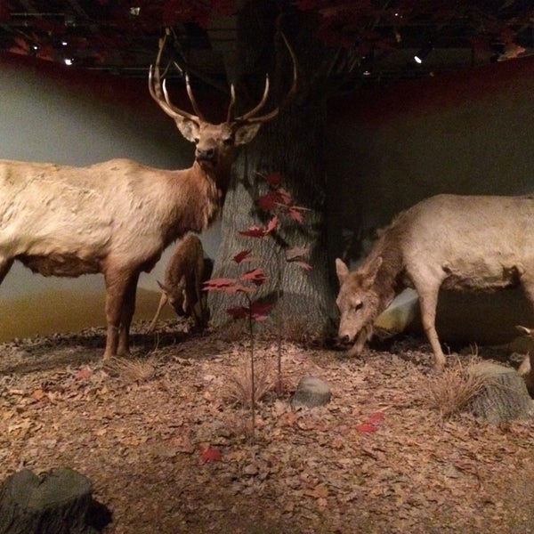 Photo prise au State Historical Building of Iowa par Rob D. le6/27/2014