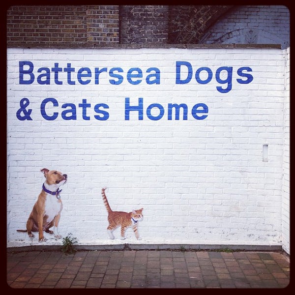 2/28/2013에 Keren L.님이 Battersea Dogs &amp; Cats Home에서 찍은 사진