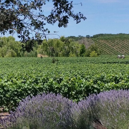 Снимок сделан в Foley Estates Vineyard &amp; Winery пользователем Mark V. 7/7/2014