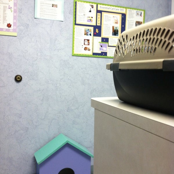 The Cat Hospital on Park Street 22 Park St S