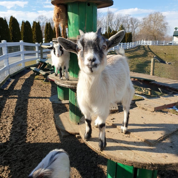 Photo taken at The Amish Farm and House by Harry C. on 3/11/2019
