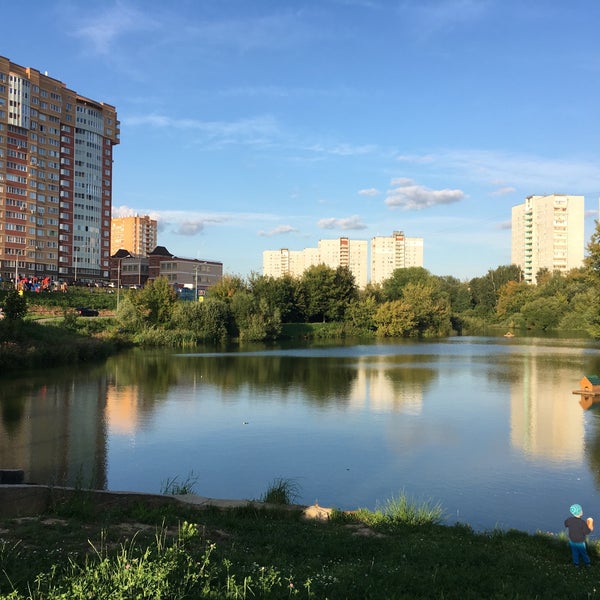 тимоховский пруд видное. купелинка видное пруд рыбалка. водоемы видное. тарычевский пруд видное. водоемы видное.
