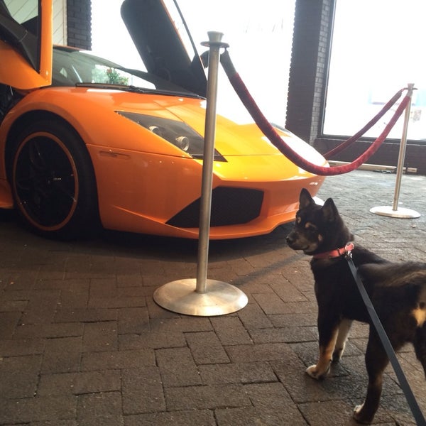 Benjamin Auto Sales. Bca Leasing Car Dealership in Great Neck