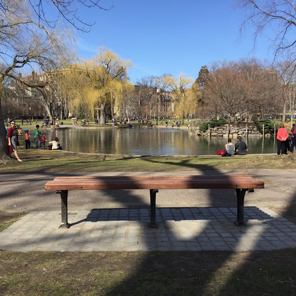 Photos at Good Will Hunting Bench General Entertainment in Beacon Hill