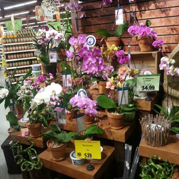 Photos At Wegmans 90 Tips From 6363 Visitors