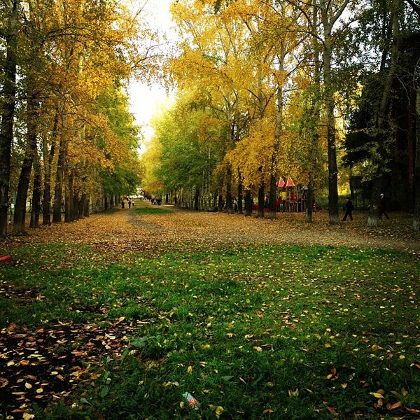 Мжк парк тамбов