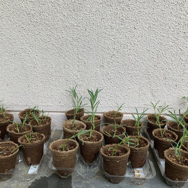 Photos At Dcmホーマック 三沢店 Furniture Home Store In 三沢市