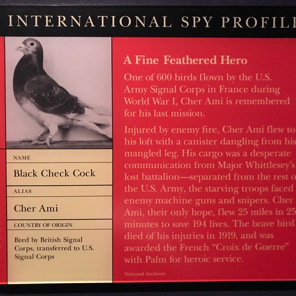 9/9/2018にKim B.がInternational Spy Museumで撮った写真