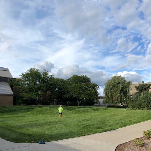 Wave field. Вид на поле. Wave field. Ячменное поле. Wave field.