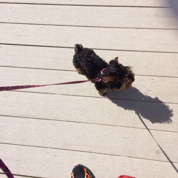 Photos at Ocean Hammock Park Walkway Hiking Trail in St Augustine