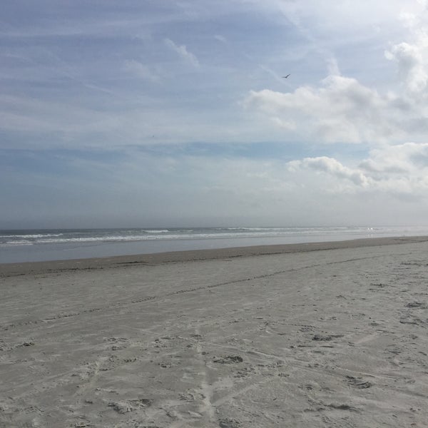 Photos at Ocean Hammock Park Walkway Hiking Trail in St Augustine