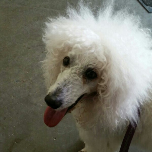 Rural King Powderly Ky