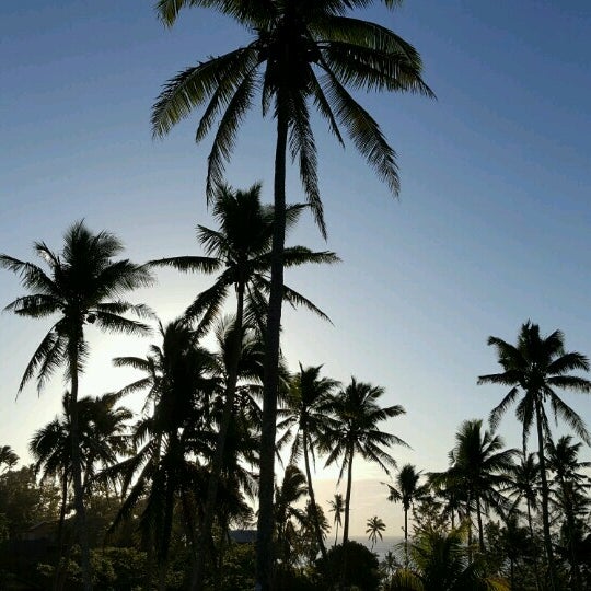 Maravu