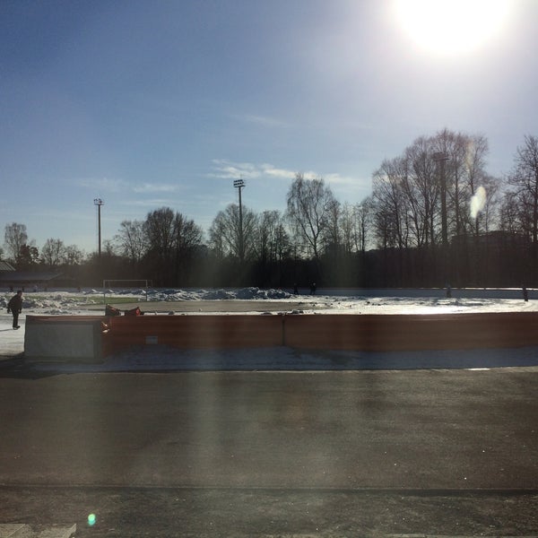 Удельный парк каток