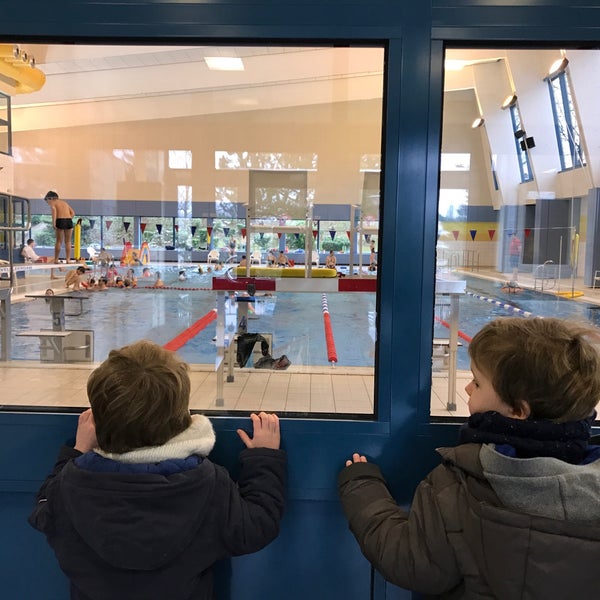 Zwembad Wauterbos Sint Genesius Rodede Havuzda Fotoğraflar