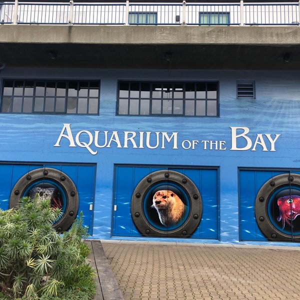 Photo taken at Aquarium of the Bay by Rodrigo A. on 12/21/2019