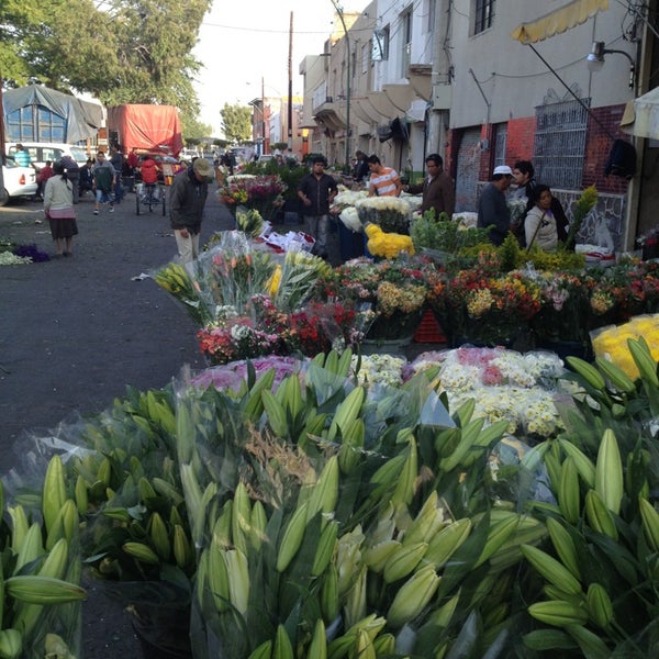 Mercado De Las Flores - Zona Centro - 56 tips de 2163 visitantes