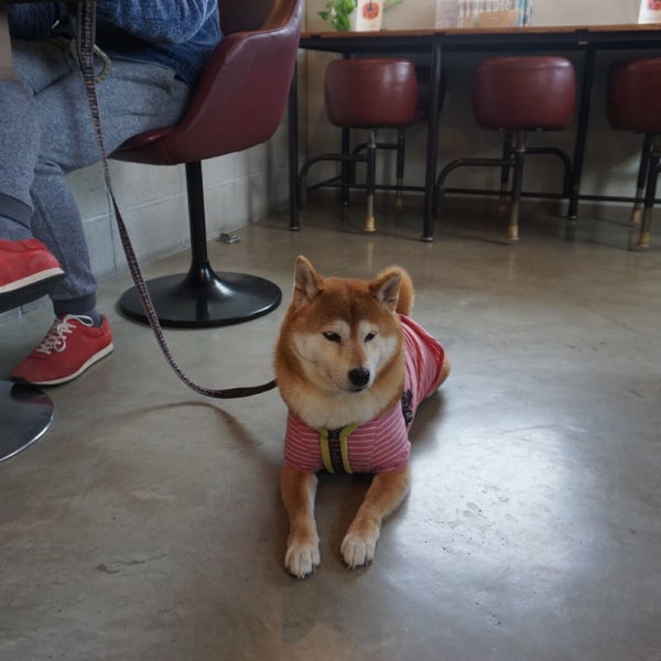 珈琲gou Cafe In 幸田町 愛知県