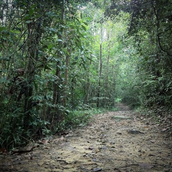 Снимок сделан в Tub Kaek - Khao Ngon-Nak Nature Trail пользователем Igor Y. 12/20/2012
