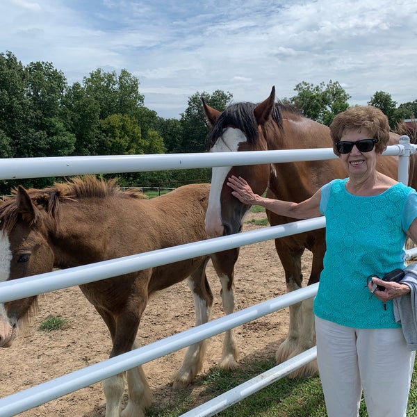 Warm Springs Ranch - Farm in Boonville