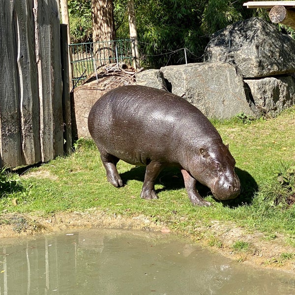 Снимок сделан в Zoo Rostock пользователем Frank K. 9/21/2020