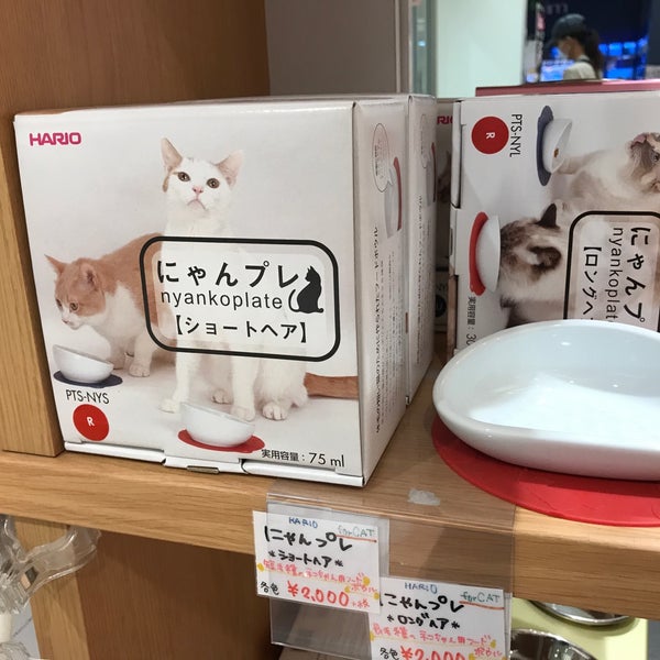 Photos At Pet Land Peace One 枚方市 大阪府