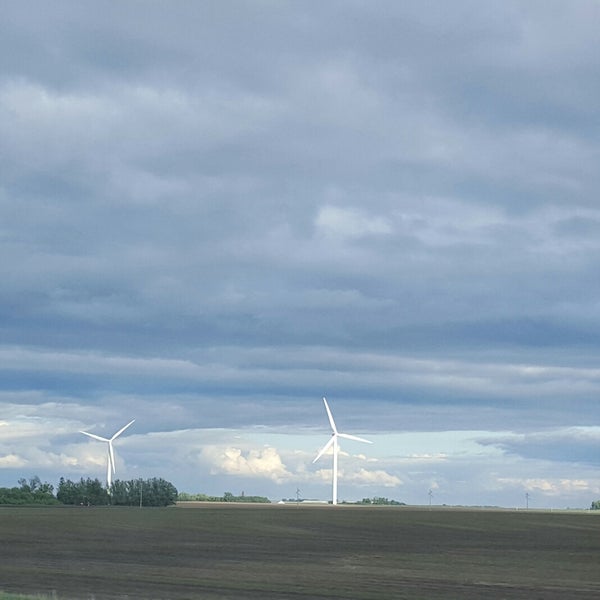 Lakefield MN - 239 visitors