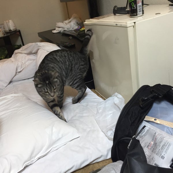 ホテル ダイキ Hotel Daiki 1 Tip ホテル ダイキ Hotel Daiki 1 Tip