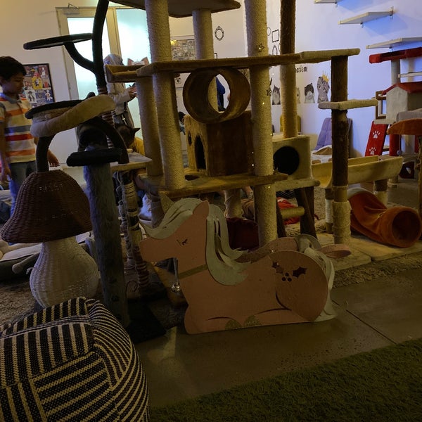  Cat  Cafe  Melbourne  Pet Caf  in Melbourne 