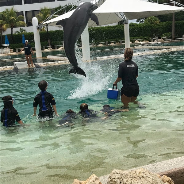 Das Foto wurde bei Miami Seaquarium von Stephanie am 6/13/2018 aufgenommen