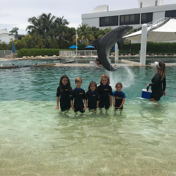 Das Foto wurde bei Miami Seaquarium von Stephanie am 6/13/2018 aufgenommen