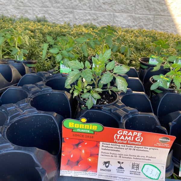 Lowe's Danvers'ta Hırdavat Mağazası