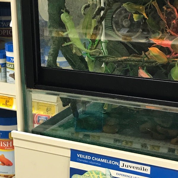 PetSmart Pet Supplies Store in Danvers