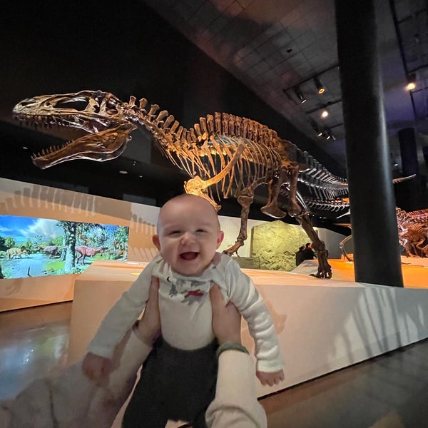 Photo taken at Houston Museum of Natural Science by J S. on 1/31/2023