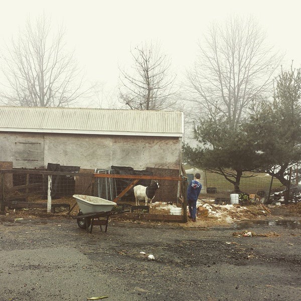 Foto diambil di DePiero&#39;s Farm Stand and Greenhouses oleh Doreen E. pada 3/14/2015