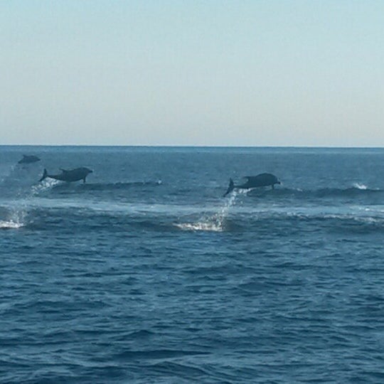 Photo taken at Newport Landing Whale Watching by Beth L. on 1/4/2015