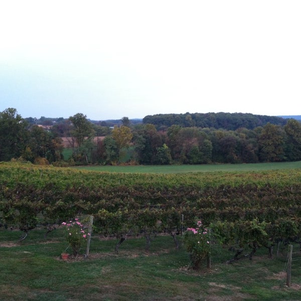 Photo taken at Fiore Winery by Rebecca D. on 10/5/2013