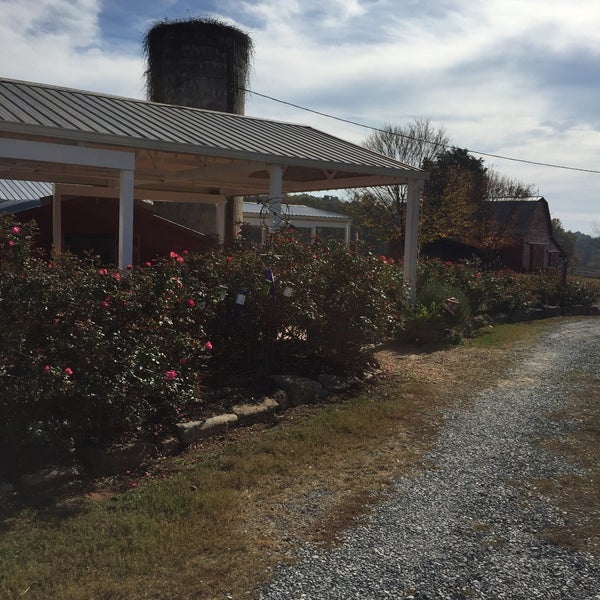 Baker Buffalo Creek Vineyard and Winery Winery