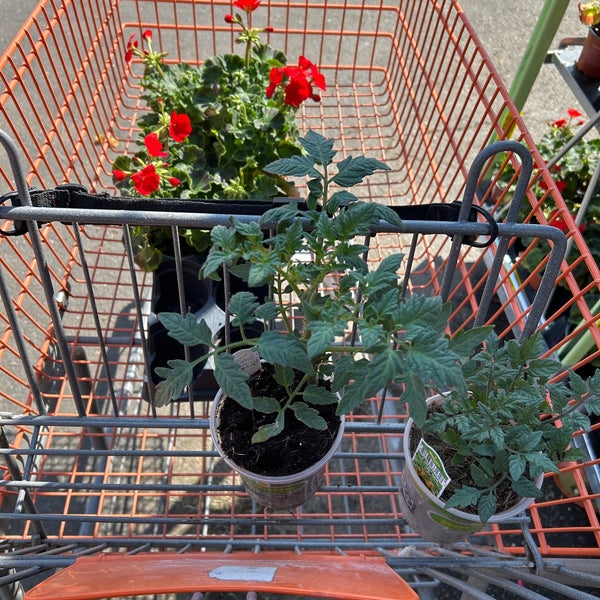 The Home Depot Elmont, NY